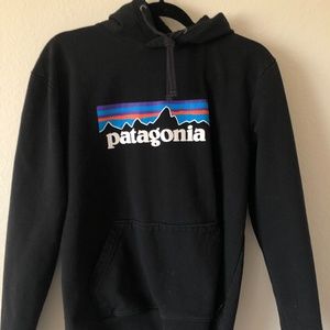 Patagoina Uprisal Logo Hoodie